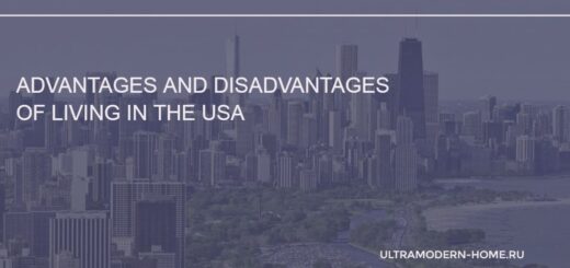 Advantages and Disadvantages of Living in the USA